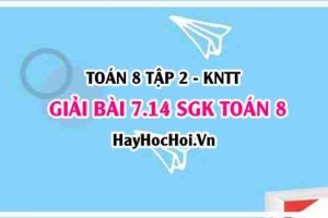 Bài 7.14 SGK Toán 8 Tập 2 Kết nối tri thức